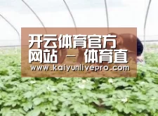 种植基地三