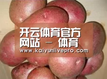 产品展示标题1