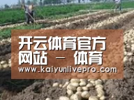 种植基地八