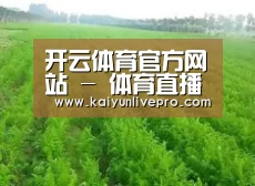 种植基地四