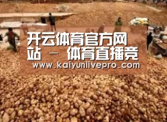 种植基地二