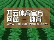 种植基地六