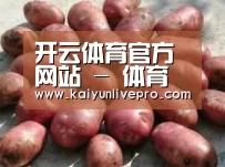 产品展示标题5